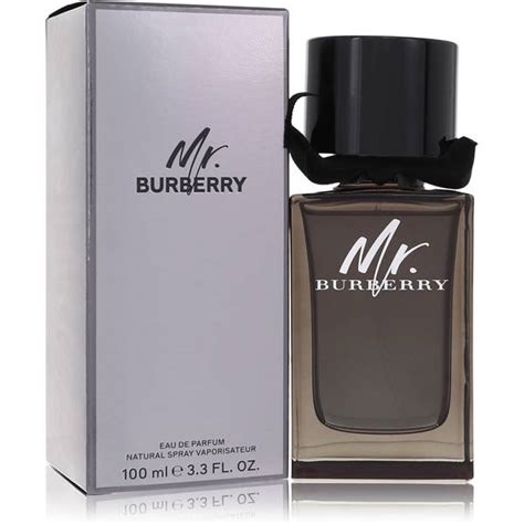 mr burberry jasmin|mr burberry cologne.